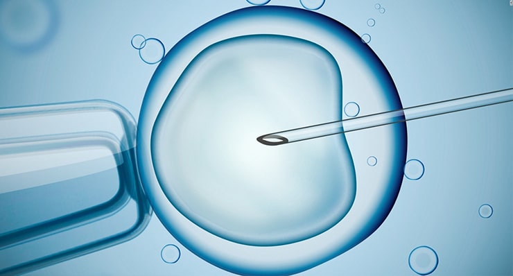 ivf specialist in indore