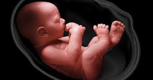 test tube baby center in Indore